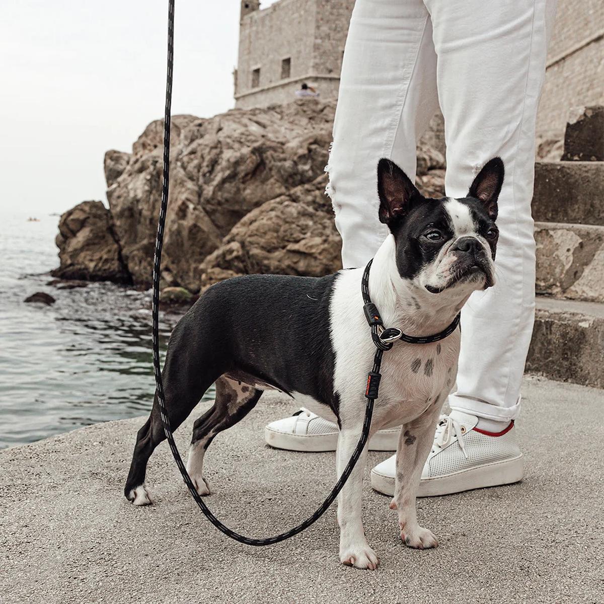 EzyDog Luca Lite Leash