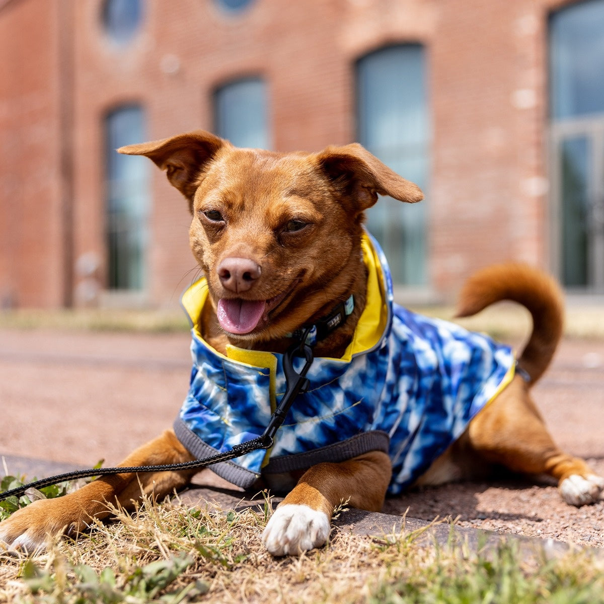GF Pet Reversible Elasto-Fit Raincoat - Yellow Tie Dye