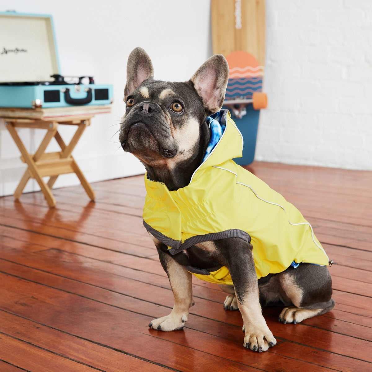 GF Pet Reversible Elasto-Fit Raincoat - Yellow Tie Dye