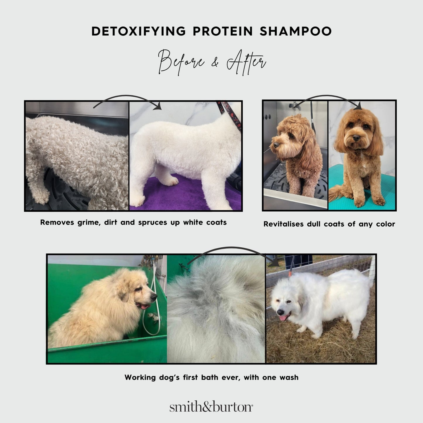 Smith & Burton Detoxifying Protein Shampoo for Dogs & Cats