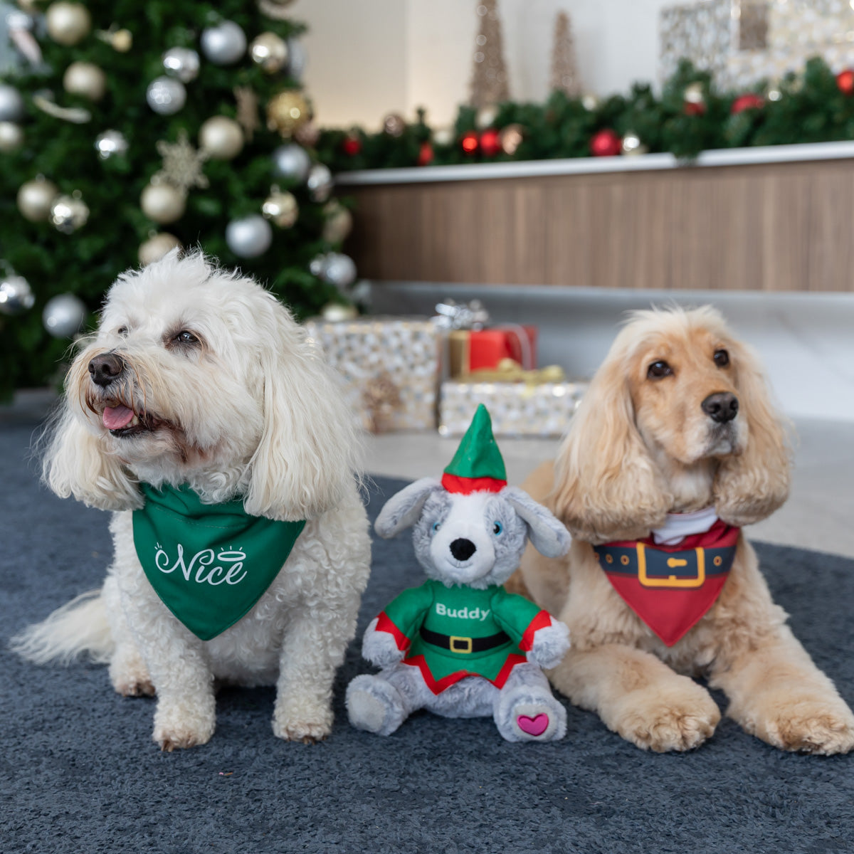 Petstock Foundation Festive Buddy Dog Toy