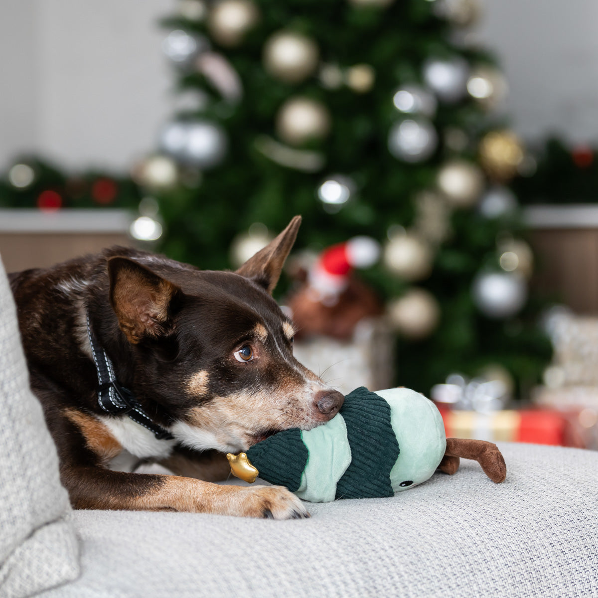 Petstock Christmas Tree Snuffle Dog Toy