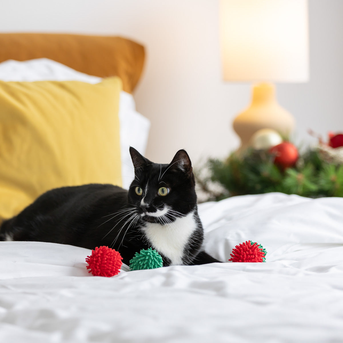 Petstock Christmas Pom Poms Cat Toy