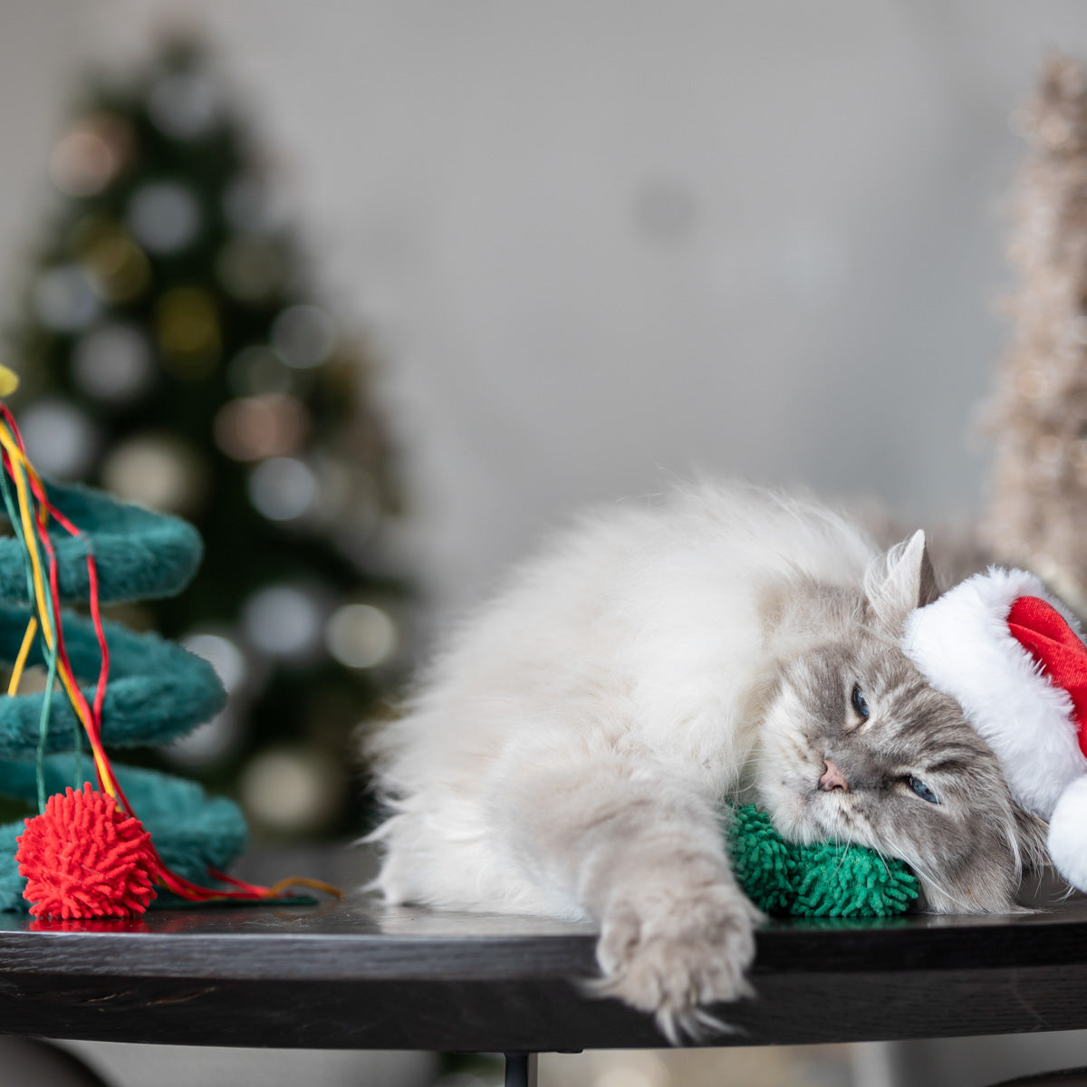 Petstock Christmas Pom Poms Cat Toy