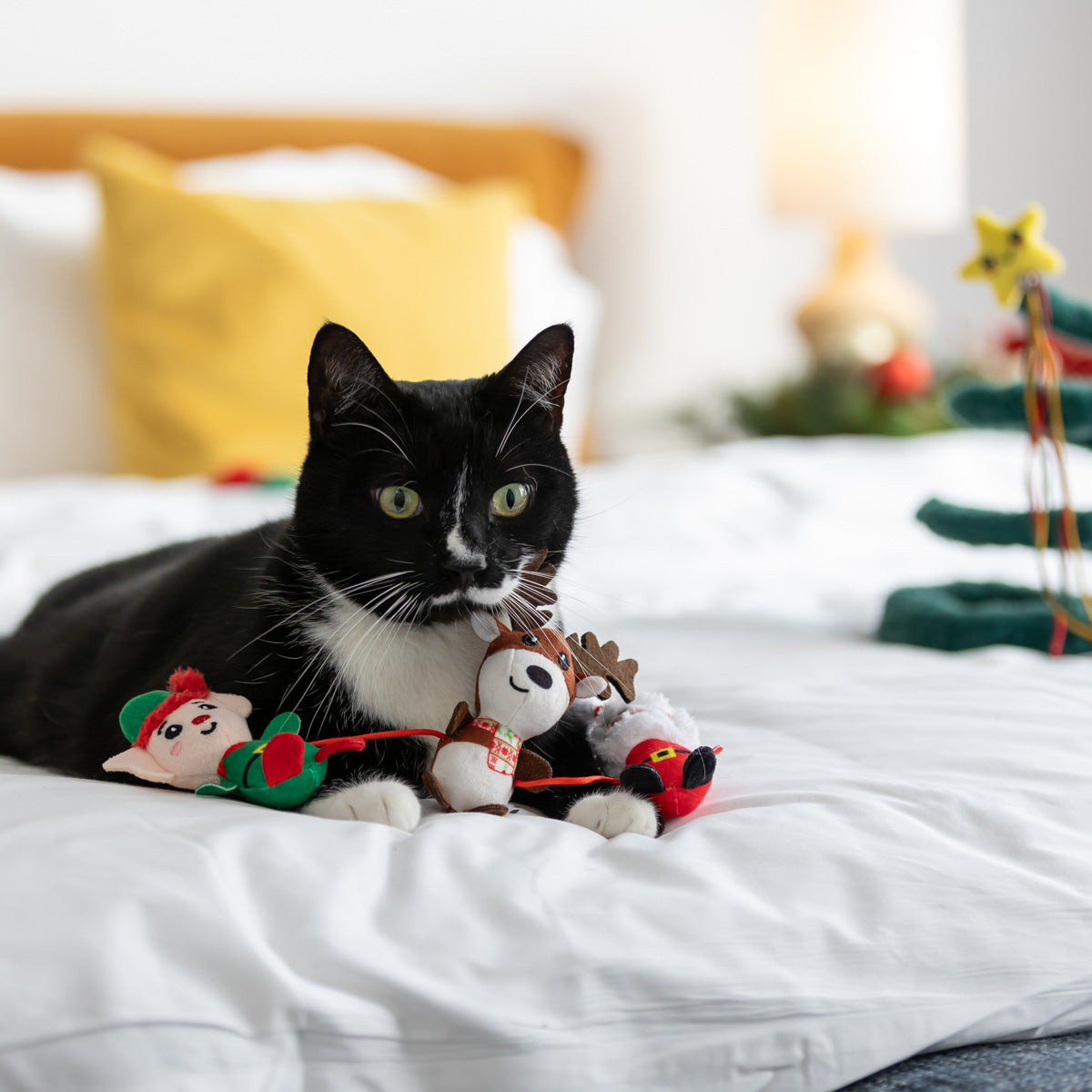 Petstock Chistmas Characters Cat Toy
