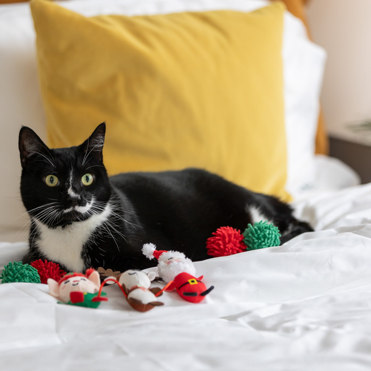 Petstock Chistmas Characters Cat Toy