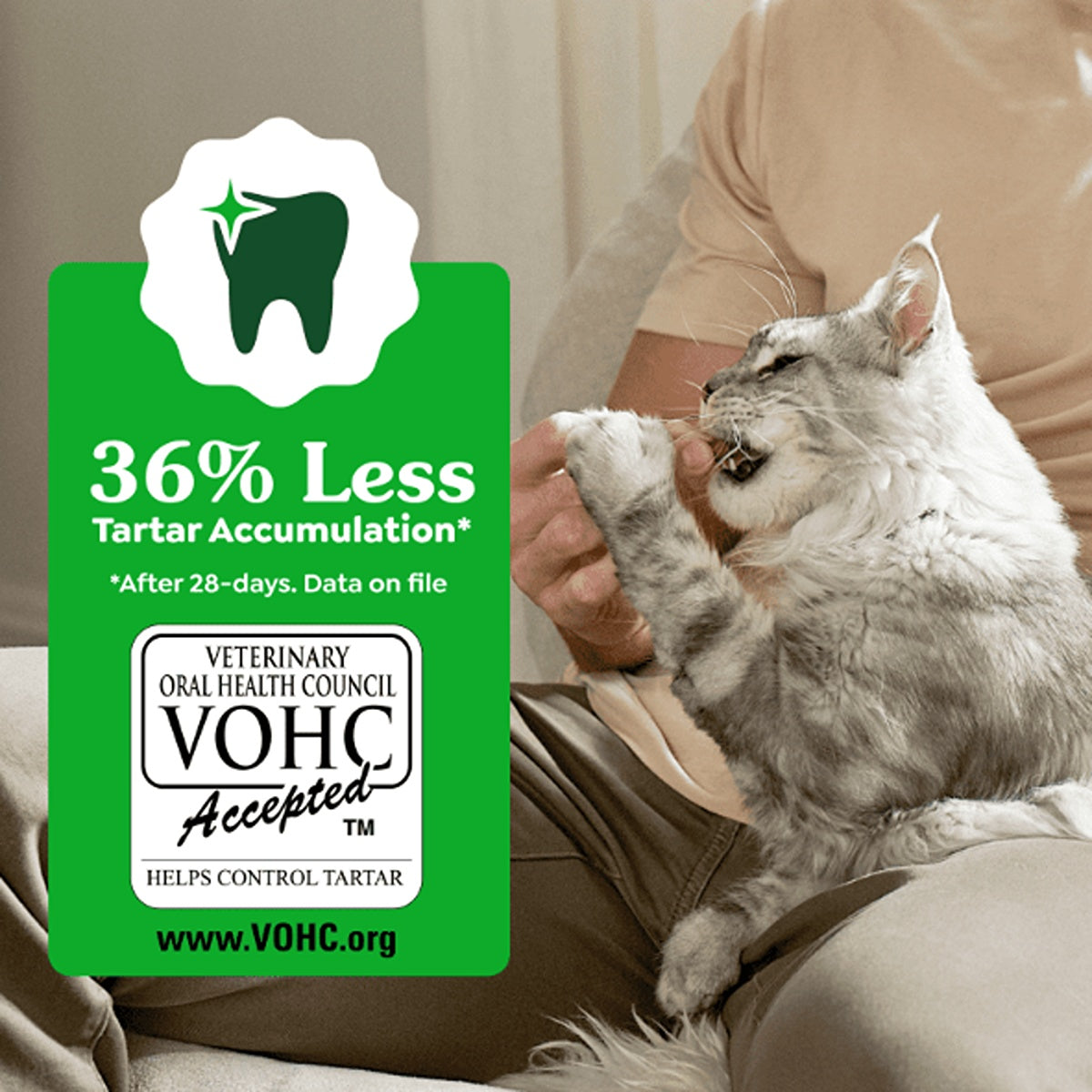 Greenies Catnip Flavoured Dental Cat Treats