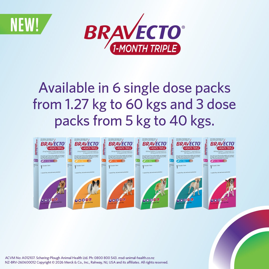 Bravecto 1 Month Triple Extra Extra Small 1.27-2.5kg Dog Flea, Tick & Worm Chew