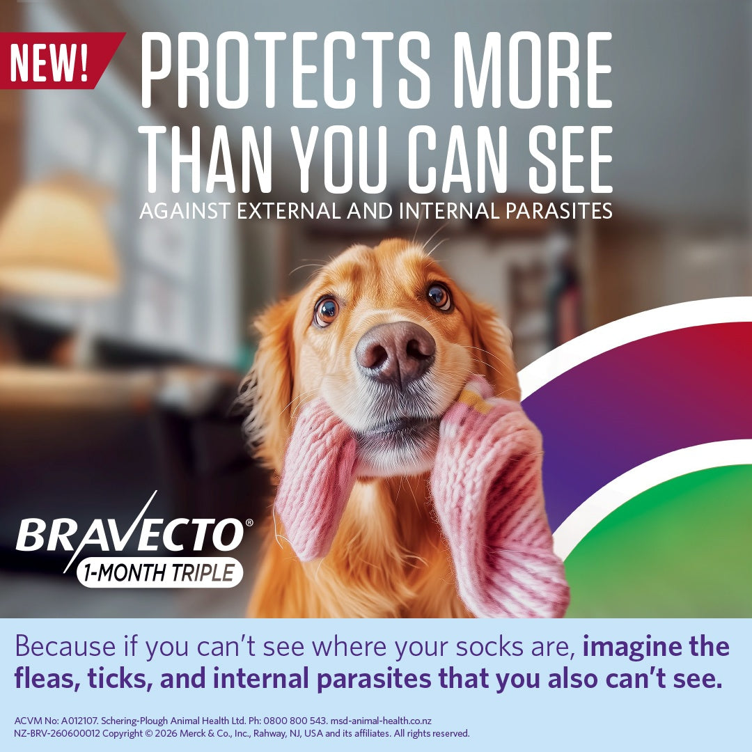 Bravecto 1 Month Triple Medium 10-20kg Dog Flea, Tick & Worm Chew
