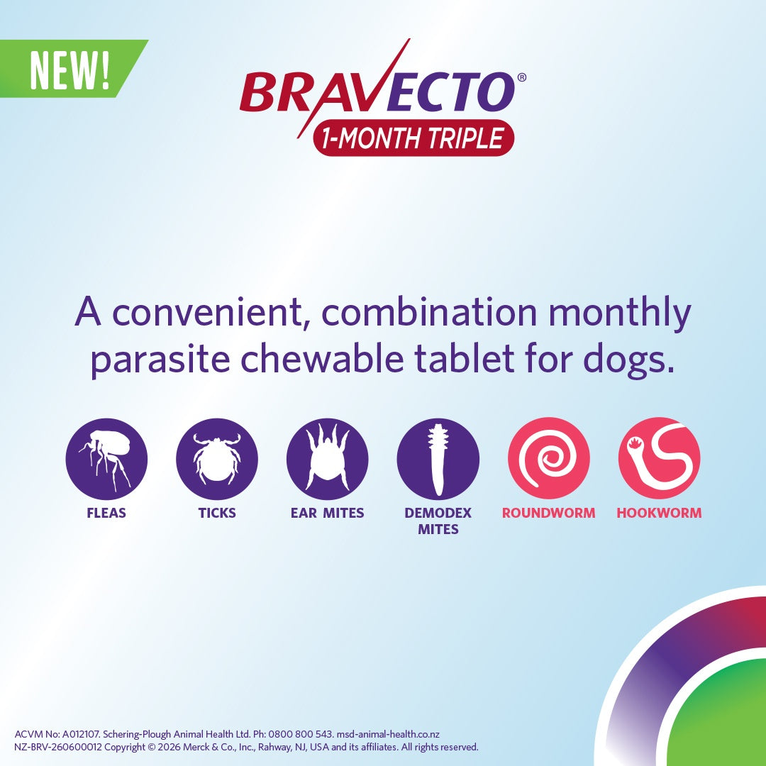 Bravecto 1 Month Triple Medium 10-20kg Dog Flea, Tick & Worm Chew