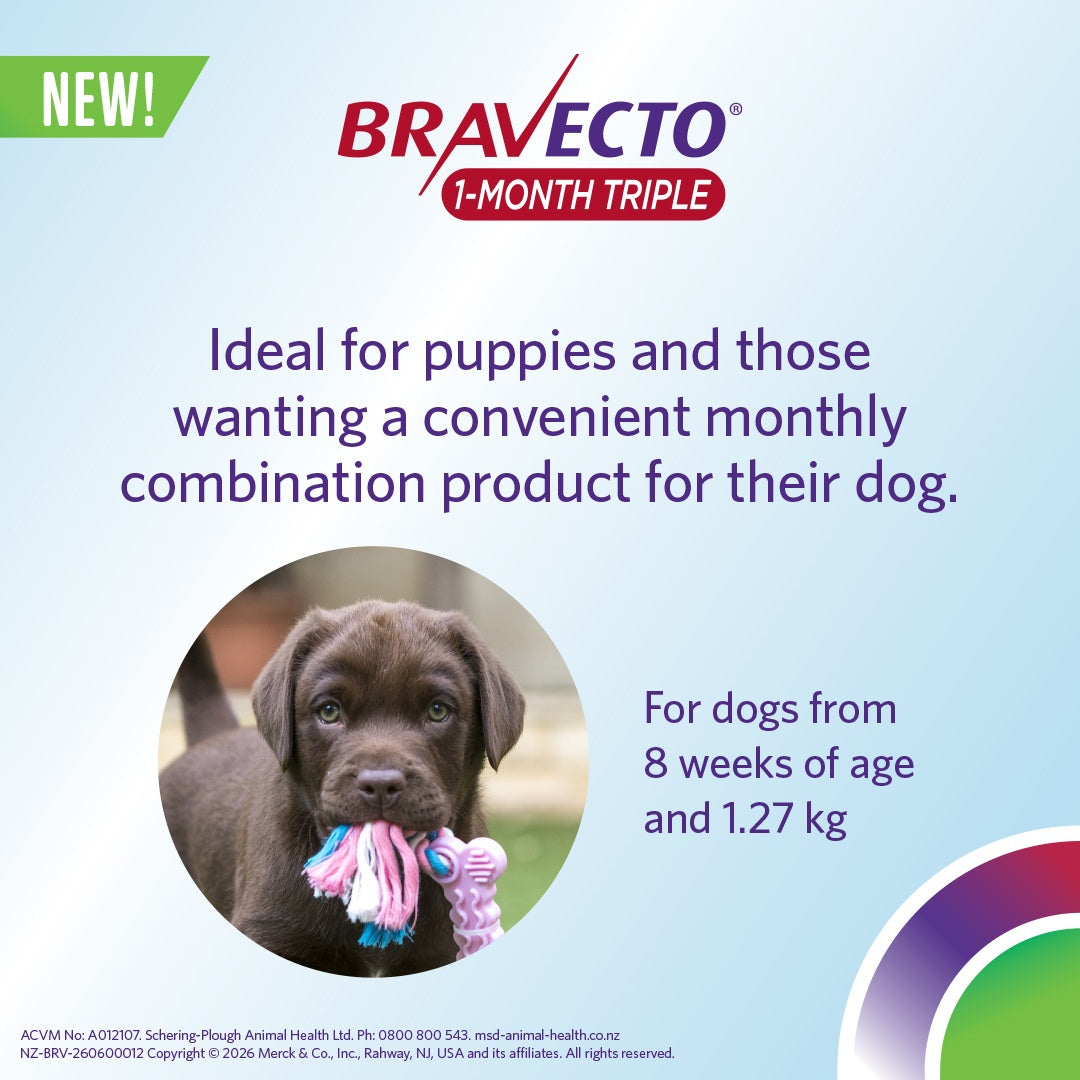 Bravecto 1 Month Triple Medium 10-20kg Dog Flea, Tick & Worm Chew