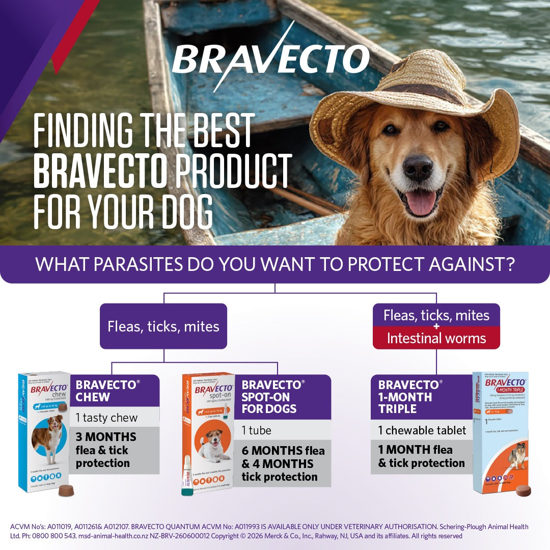 Bravecto 1 Month Triple Medium 10-20kg Dog Flea, Tick & Worm Chew