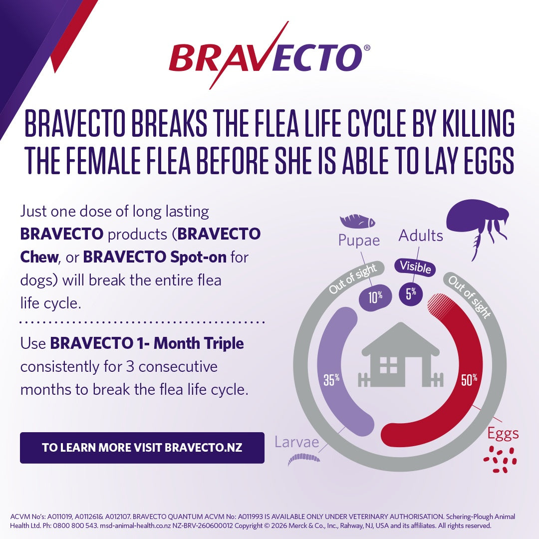 Bravecto 1 Month Triple Medium 10-20kg Dog Flea, Tick & Worm Chew
