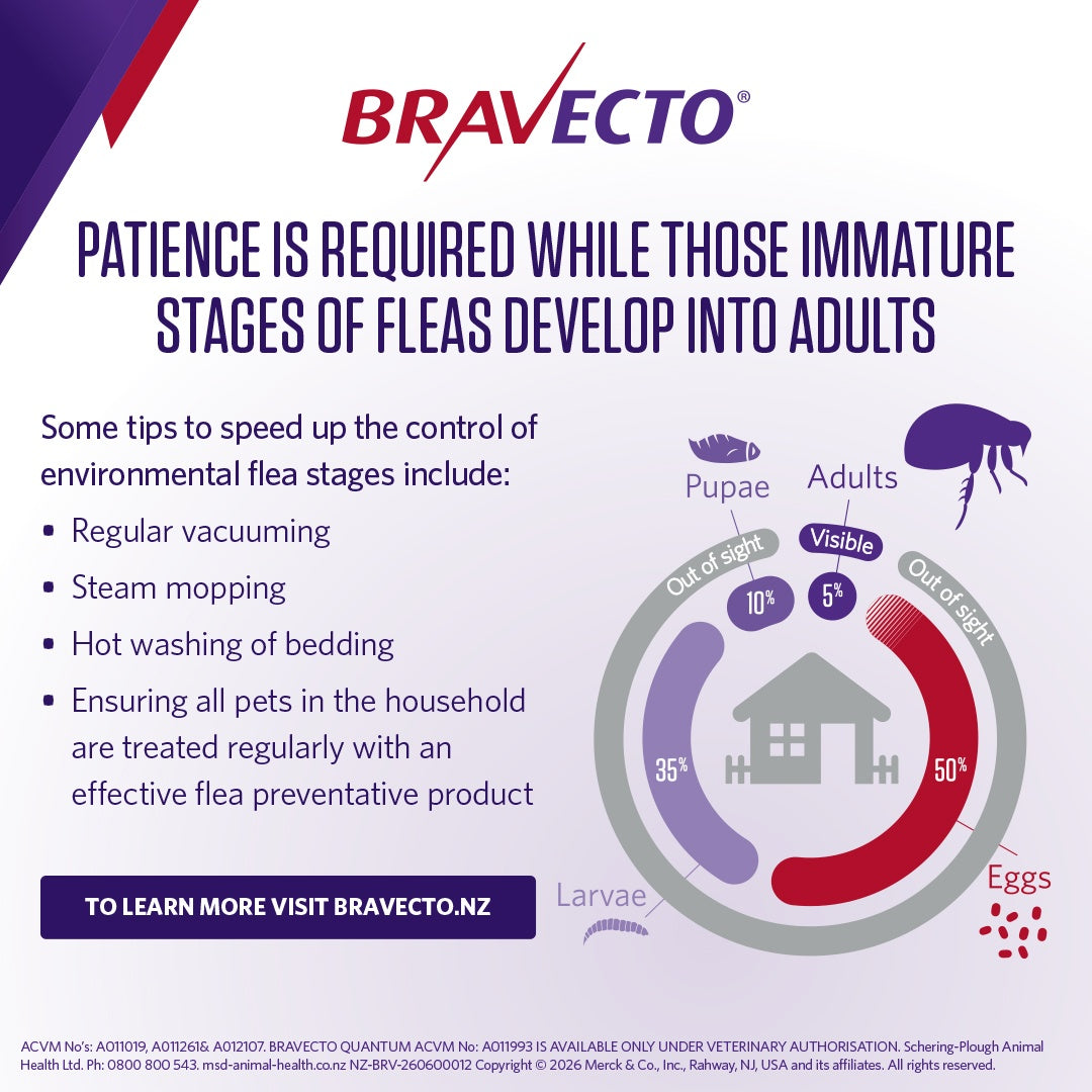 Bravecto 1 Month Triple Medium 10-20kg Dog Flea, Tick & Worm Chew