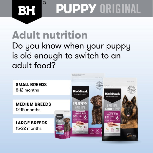 Black Hawk Lamb Puppy Wet Food Pouch