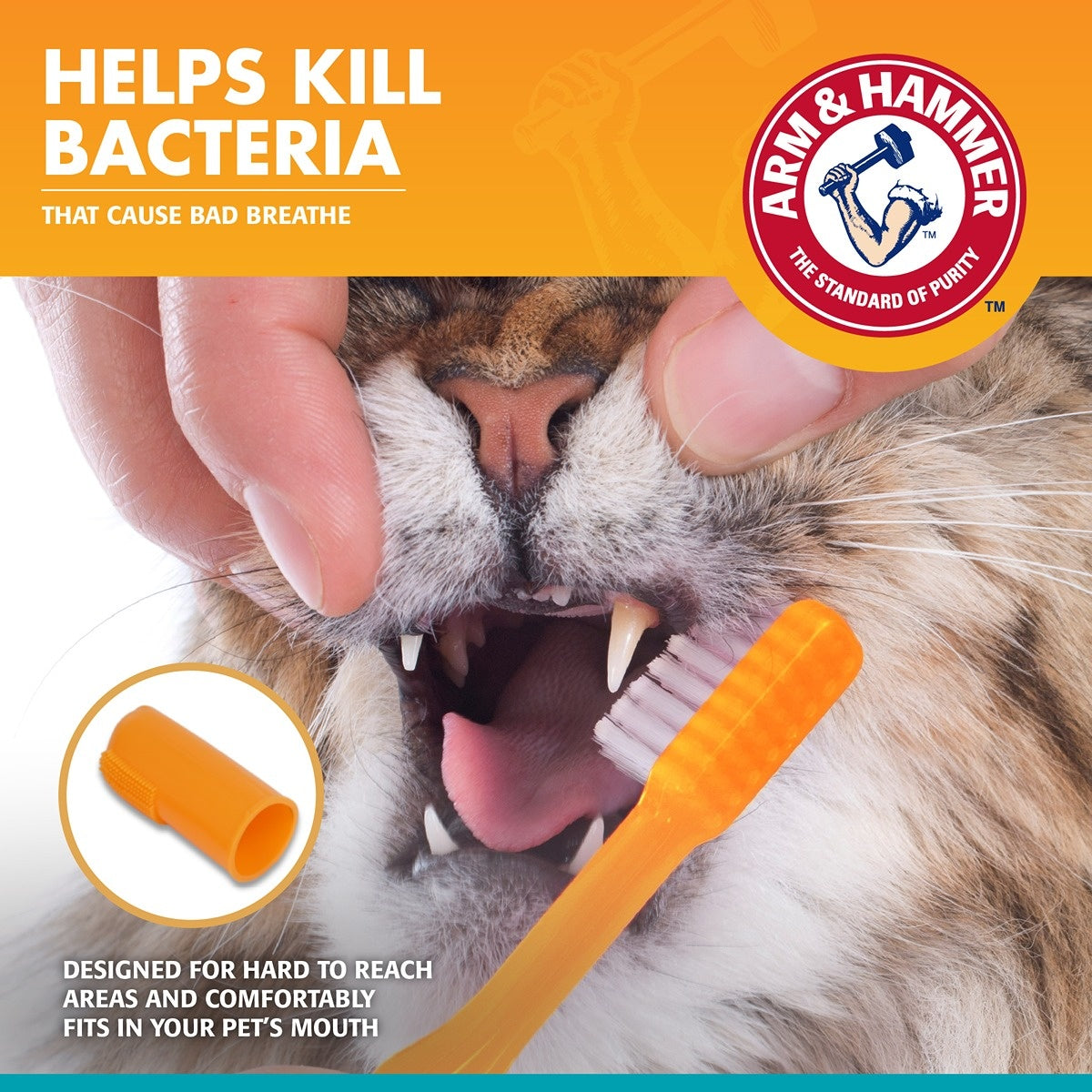 Arm & Hammer Fresh Breath Dental Kit for Cats