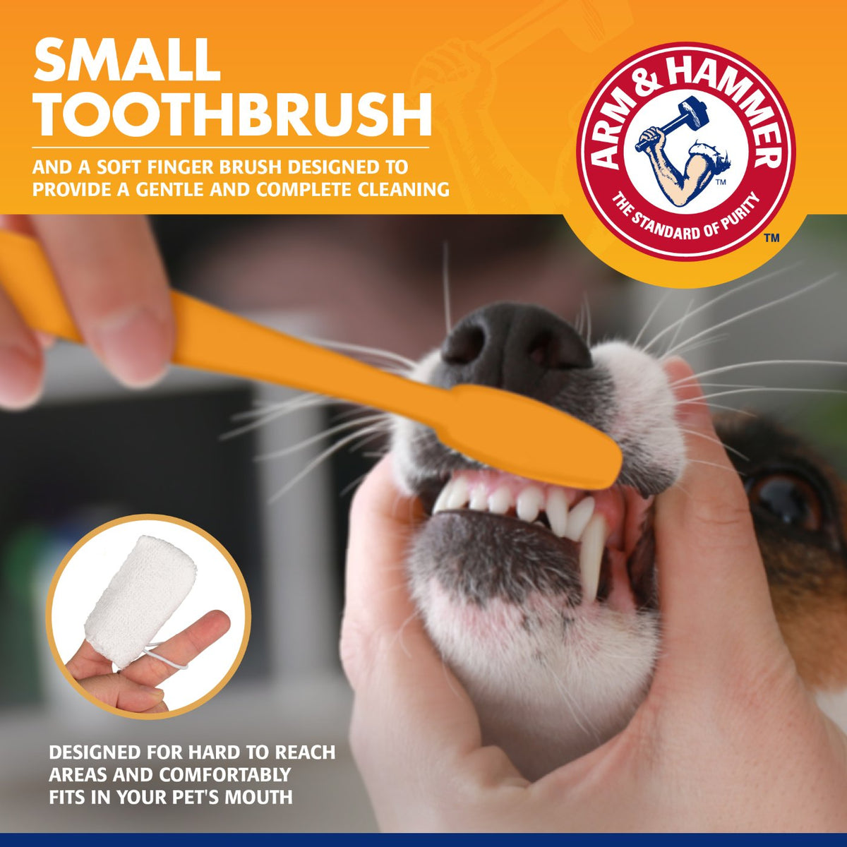 Arm & Hammer Tartar Control Dental Training Kit for Puppies