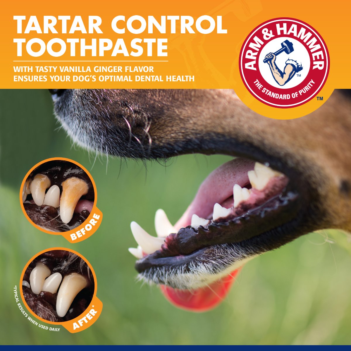Arm & Hammer Tartar Control Dental Training Kit for Puppies
