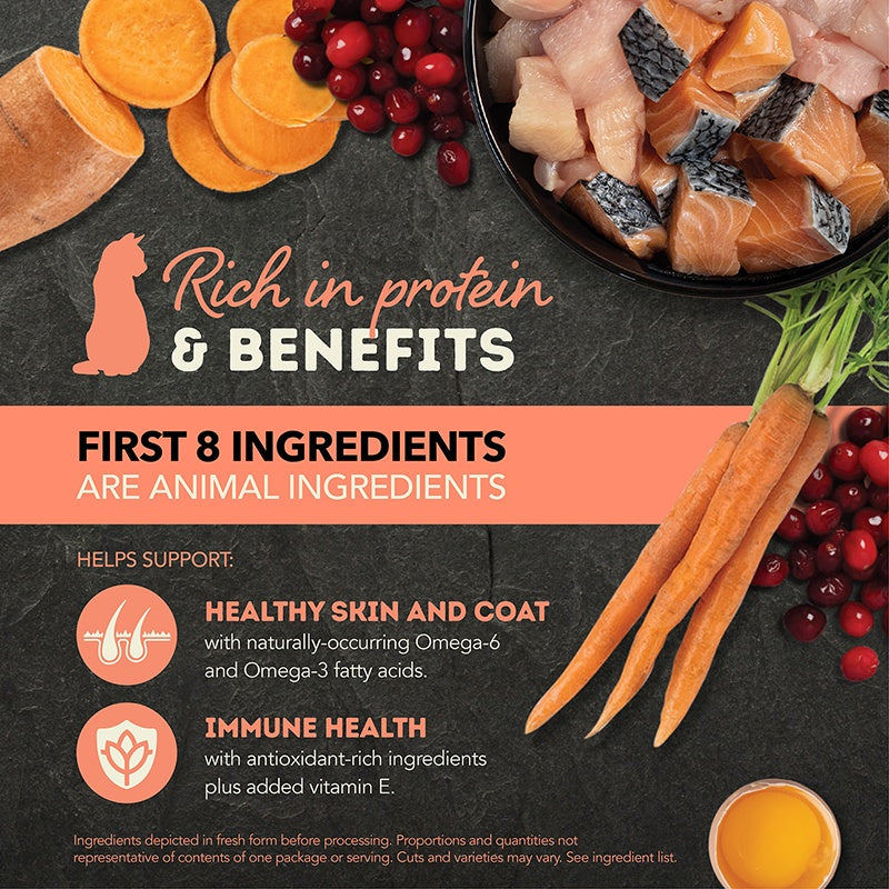 ACANA Salmon & Chicken Chunks in Broth Adult Cat Wet Food