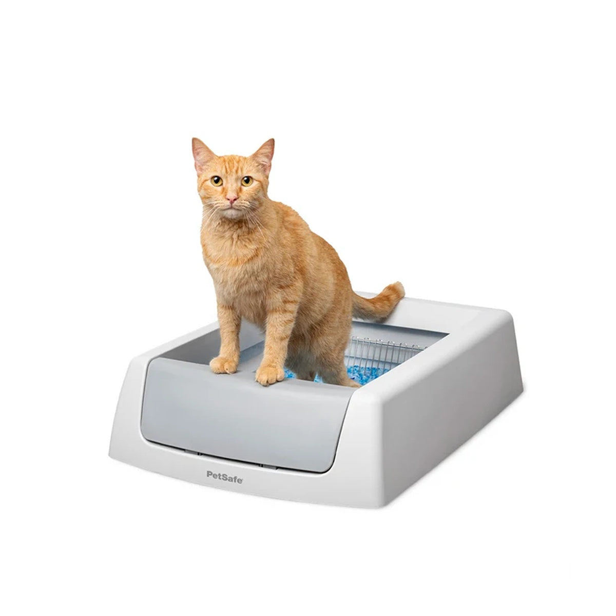 Petsafe ScoopFree Crystal Classic Self-Cleaning Litter Tray