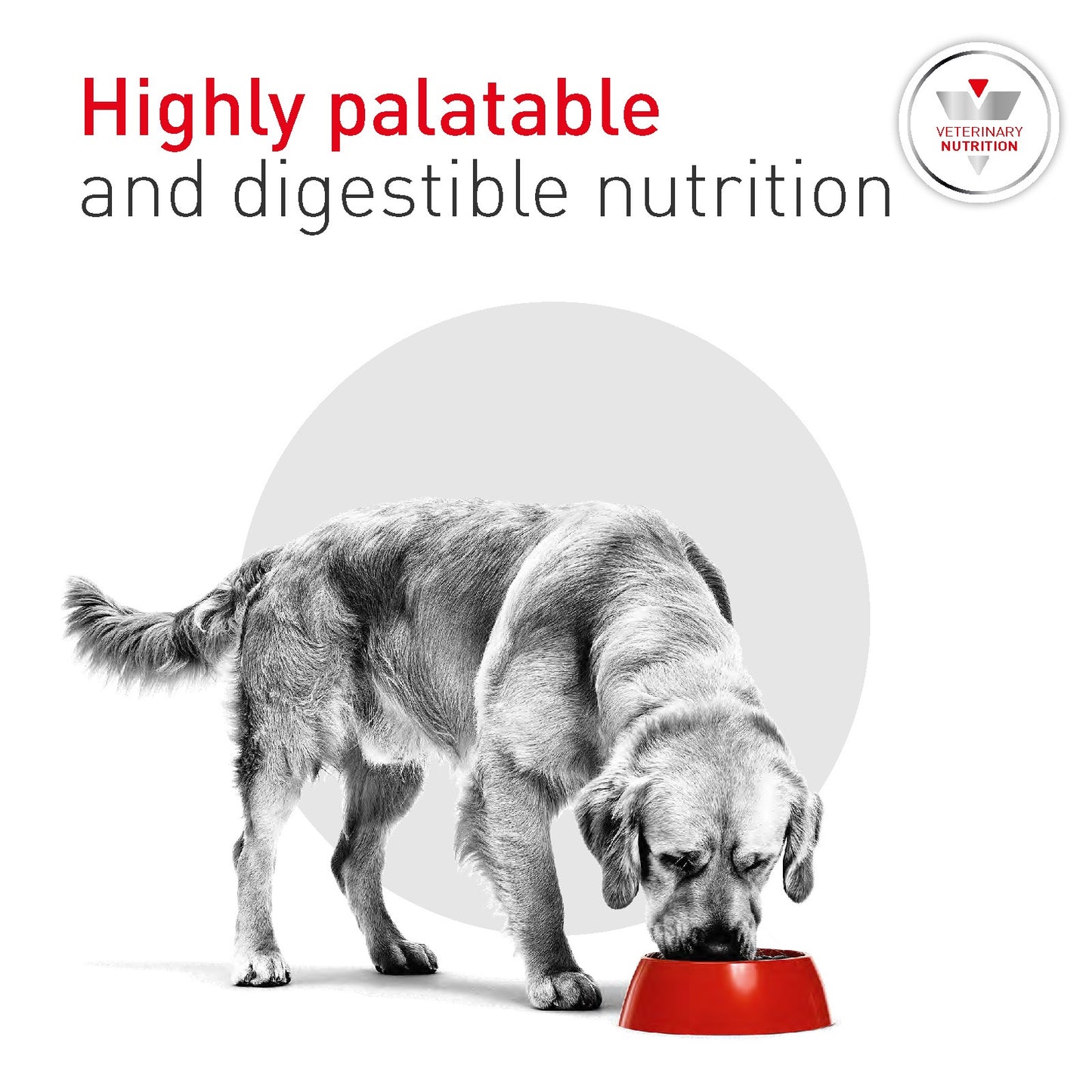 Royal Canin Vet Diet Glycobalance Dry Dog Food