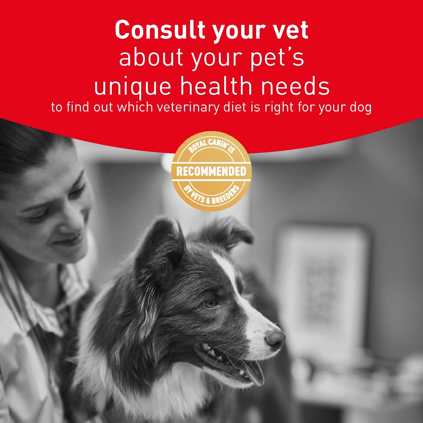 Royal Canin Vet Diet Glycobalance Dry Dog Food