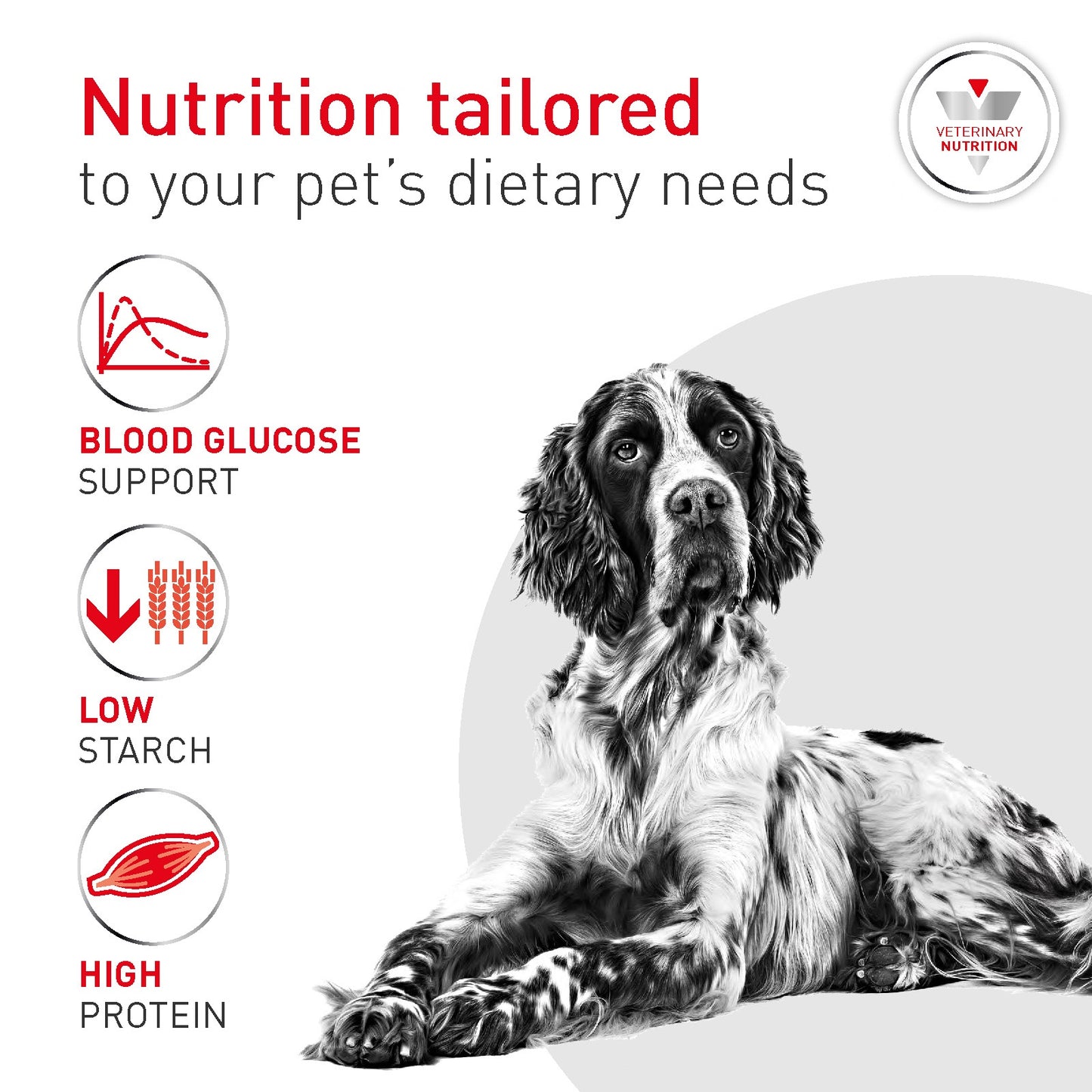 Royal Canin Vet Diet Glycobalance Wet Dog Food