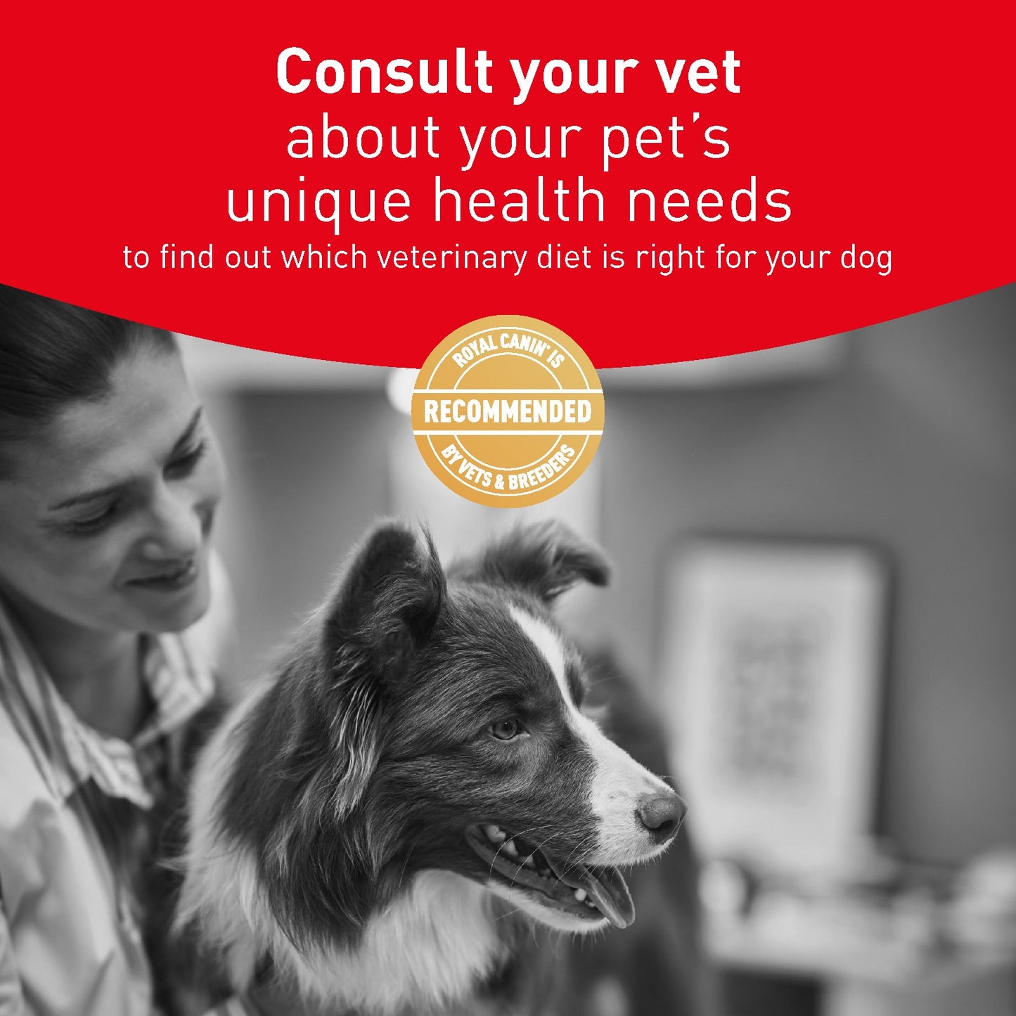 Royal Canin Vet Diet Glycobalance Wet Dog Food