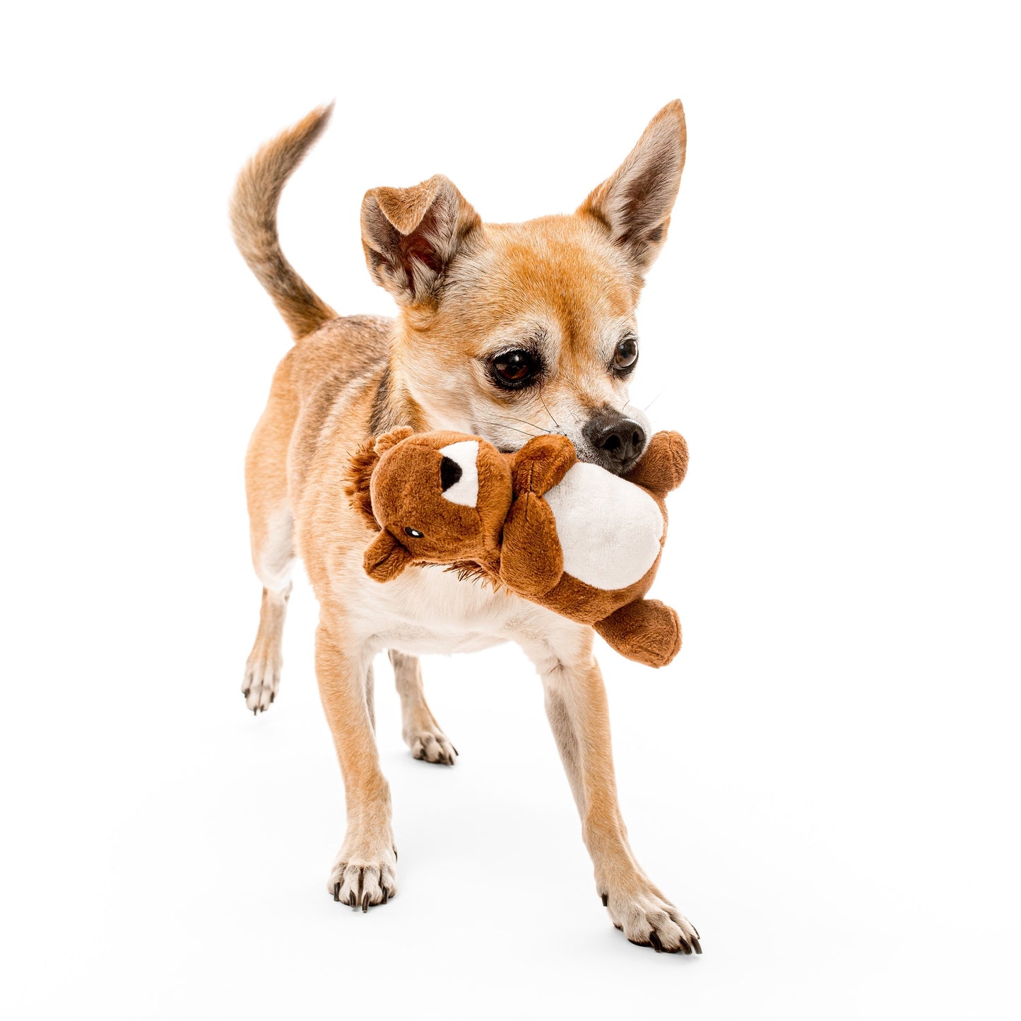 Playology Plushies Squirrel Dog Toy
