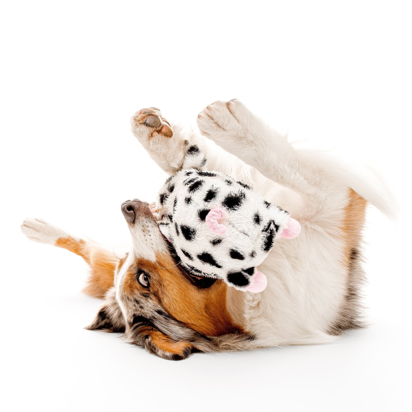 Playology Plushies Pig Dog Toy