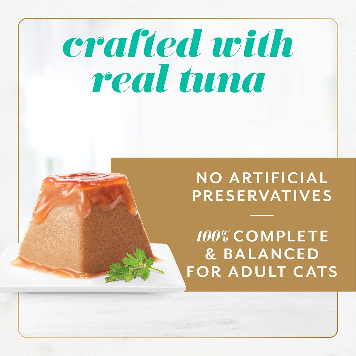 FANCY FEAST Gems Mousse Paté with Tuna Gravy Cat Food