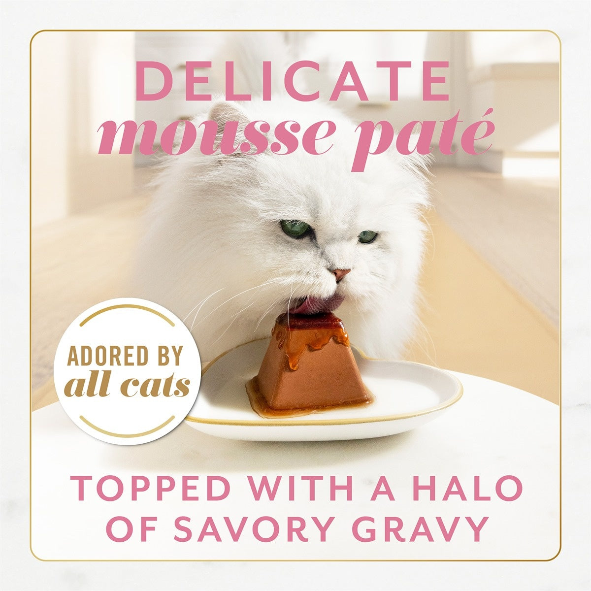 FANCY FEAST Gems Mousse Paté with Salmon Gravy Cat Food