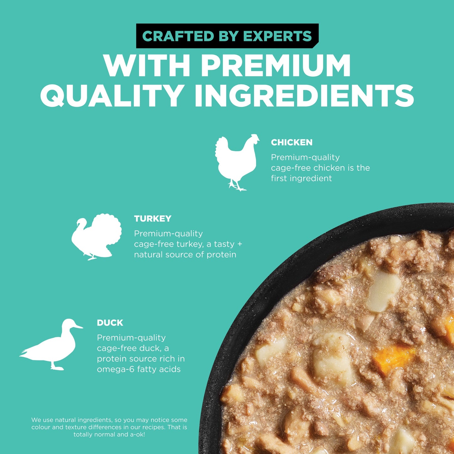 GO! Solutions CARNIVORE Grain Free Chicken, Turkey + Duck Wet Dog Food