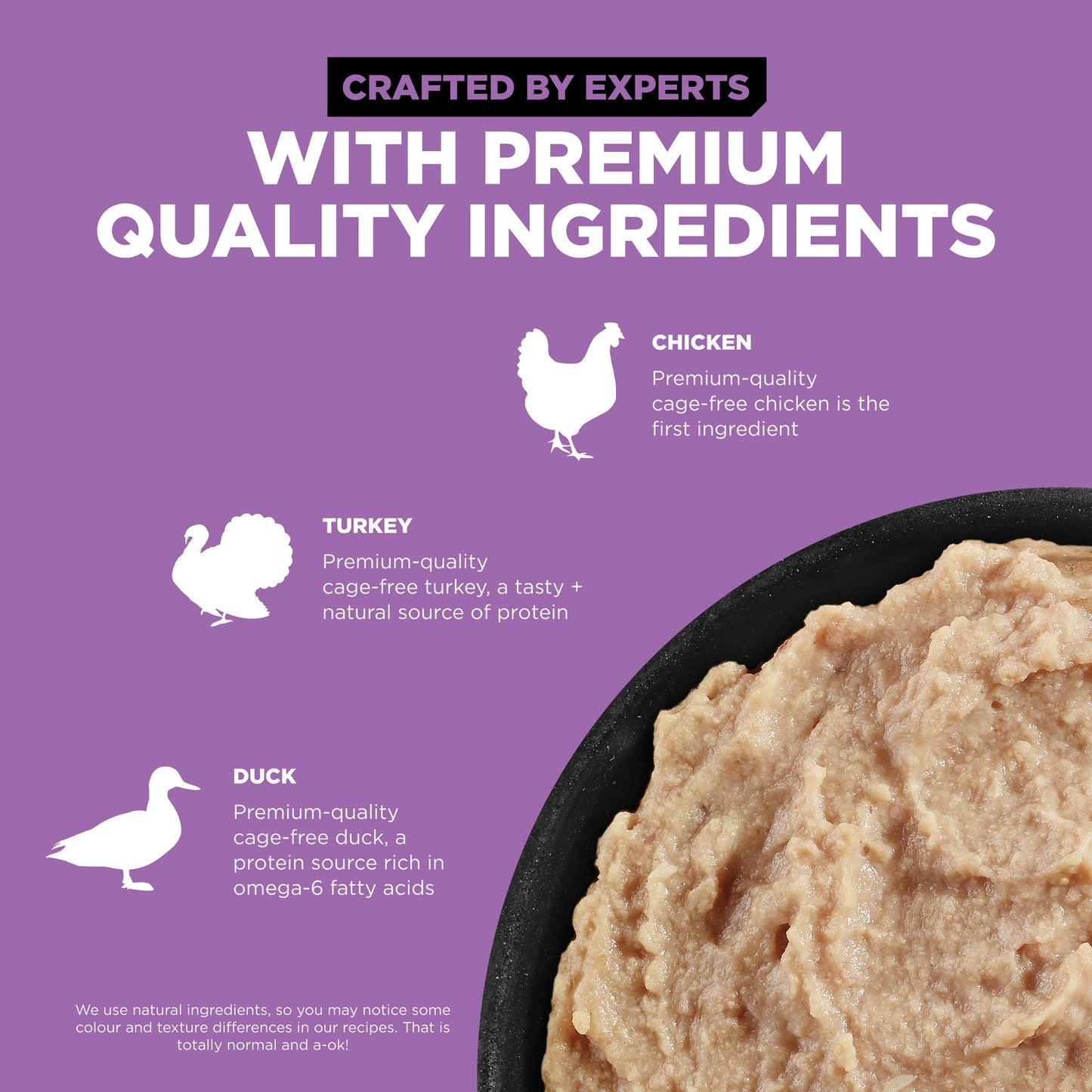 GO! Solutions CARNIVORE Grain Free Chicken, Turkey + Duck Wet Cat Food