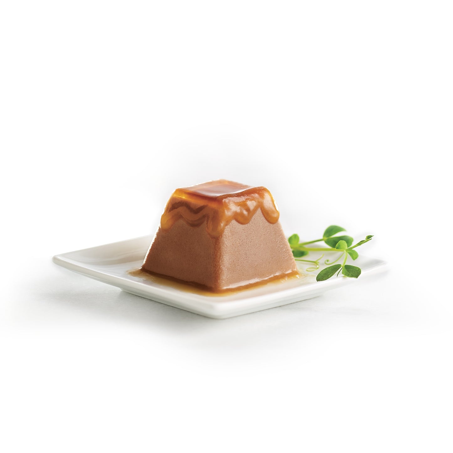 FANCY FEAST Gems Mousse Paté with Beef Gravy Cat Food