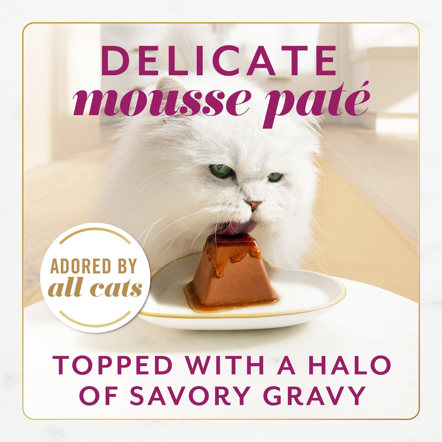 FANCY FEAST Gems Mousse Paté with Beef Gravy Cat Food