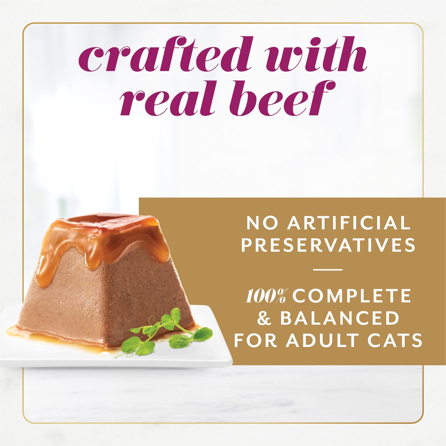 FANCY FEAST Gems Mousse Paté with Beef Gravy Cat Food