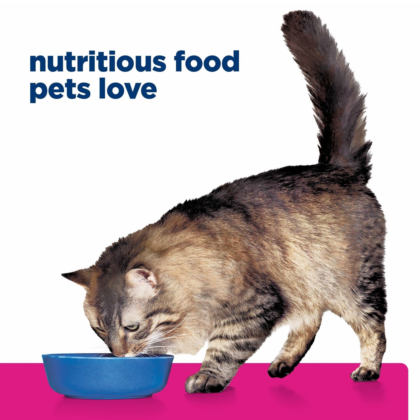 Hill's Prescription Diet Gastrointestinal Biome Stress Wet Cat Food