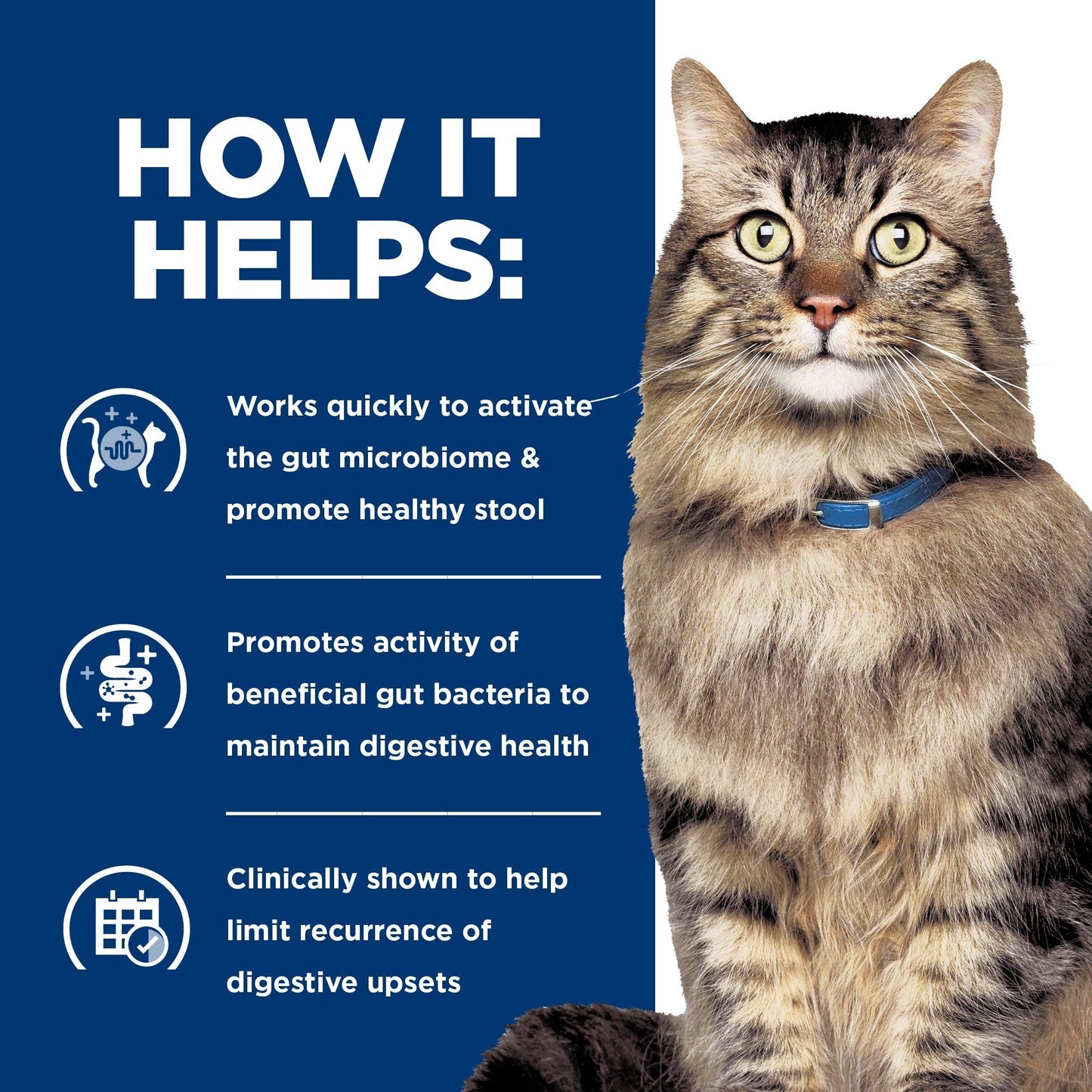 Hill's Prescription Diet Gastrointestinal Biome Stress Wet Cat Food