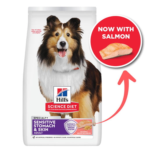 Hill's Science Diet Adult Sensitive Stomach & Skin Salmon Dry Dog Food