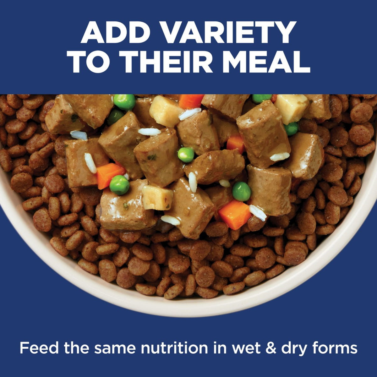 Hill's Science Diet Adult Sensitive Stomach & Skin Salmon Dry Dog Food
