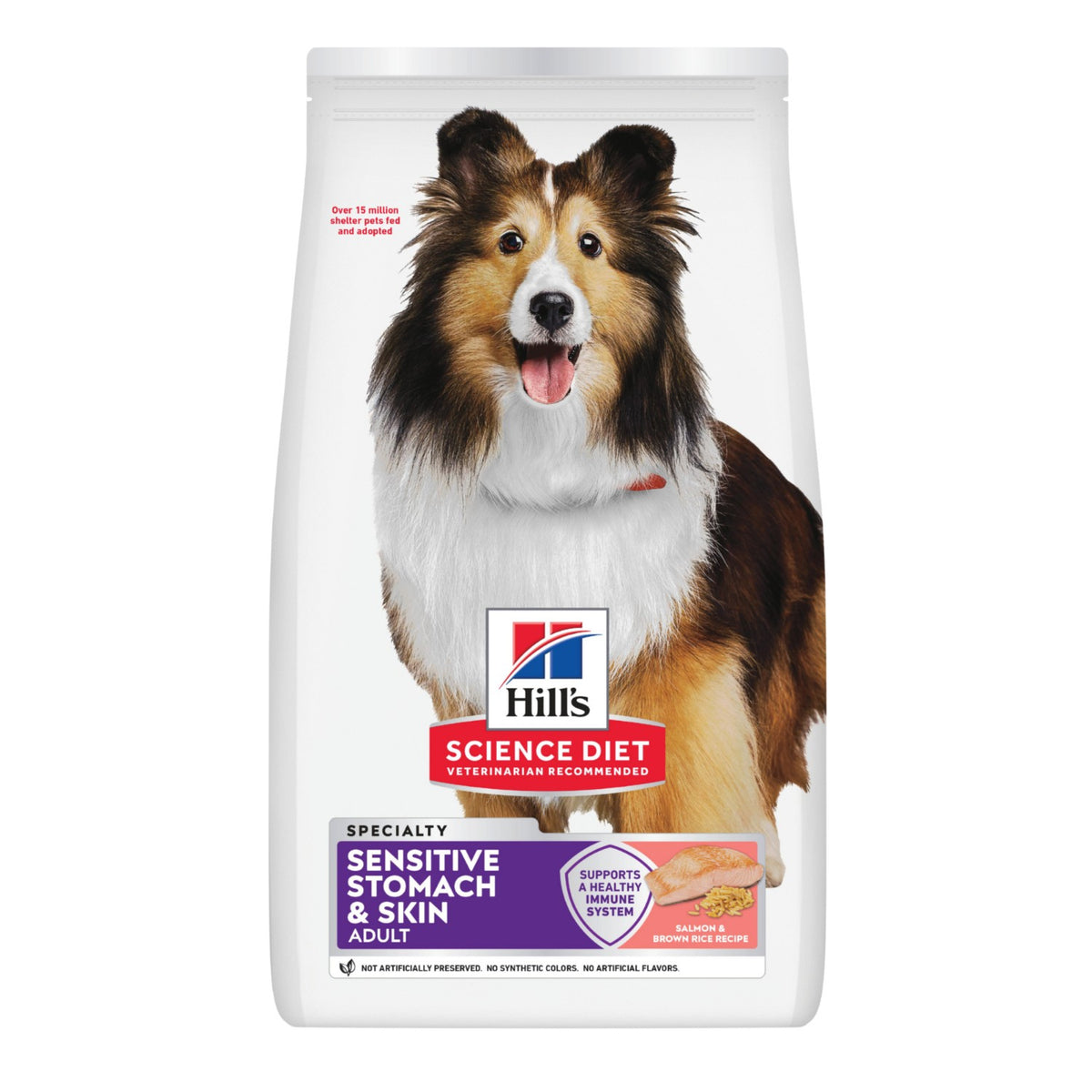 Hill's Science Diet Adult Sensitive Stomach & Skin Salmon Dry Dog Food