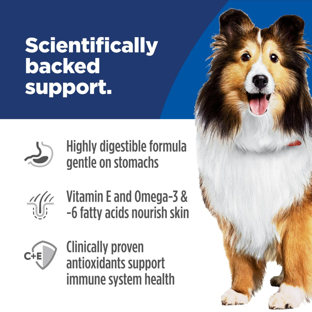 Hill's Science Diet Adult Sensitive Stomach & Skin Salmon Dry Dog Food