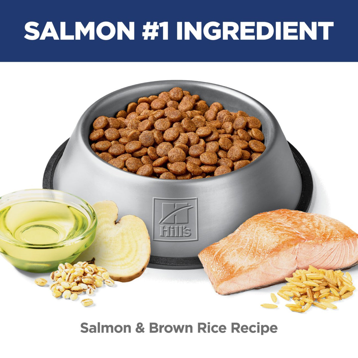 Hill's Science Diet Adult Sensitive Stomach & Skin Salmon Dry Dog Food