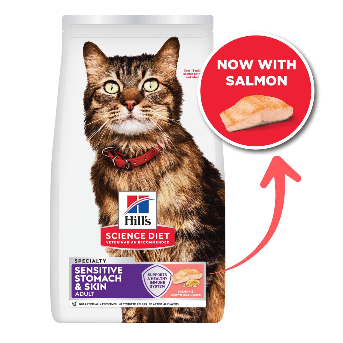Hill's Science Diet Adult Sensitive Stomach & Skin Salmon Dry Cat Food
