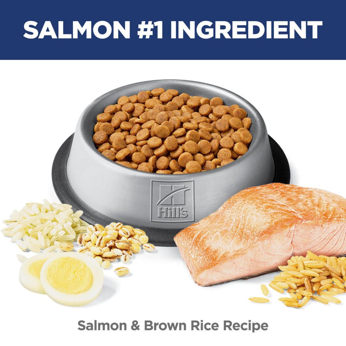 Hill's Science Diet Adult Sensitive Stomach & Skin Salmon Dry Cat Food