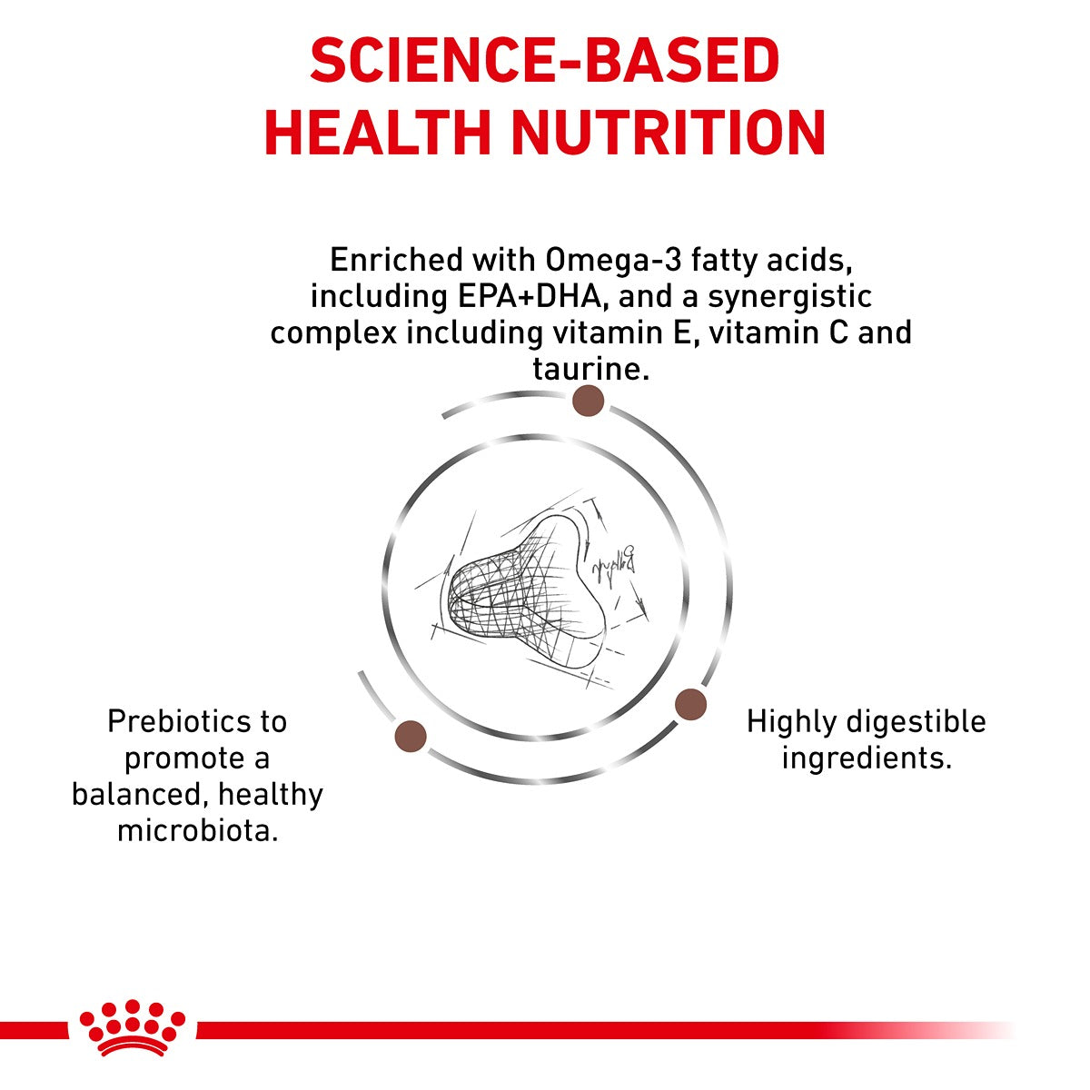 Royal Canin Gastrointestinal Fibre Response Dry Cat Food