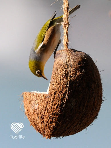 Topflite Wild Bird Energy Coconut Feeder