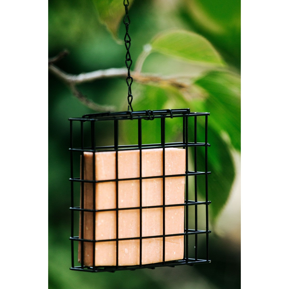 Topflite Wild Bird Cake Feeder