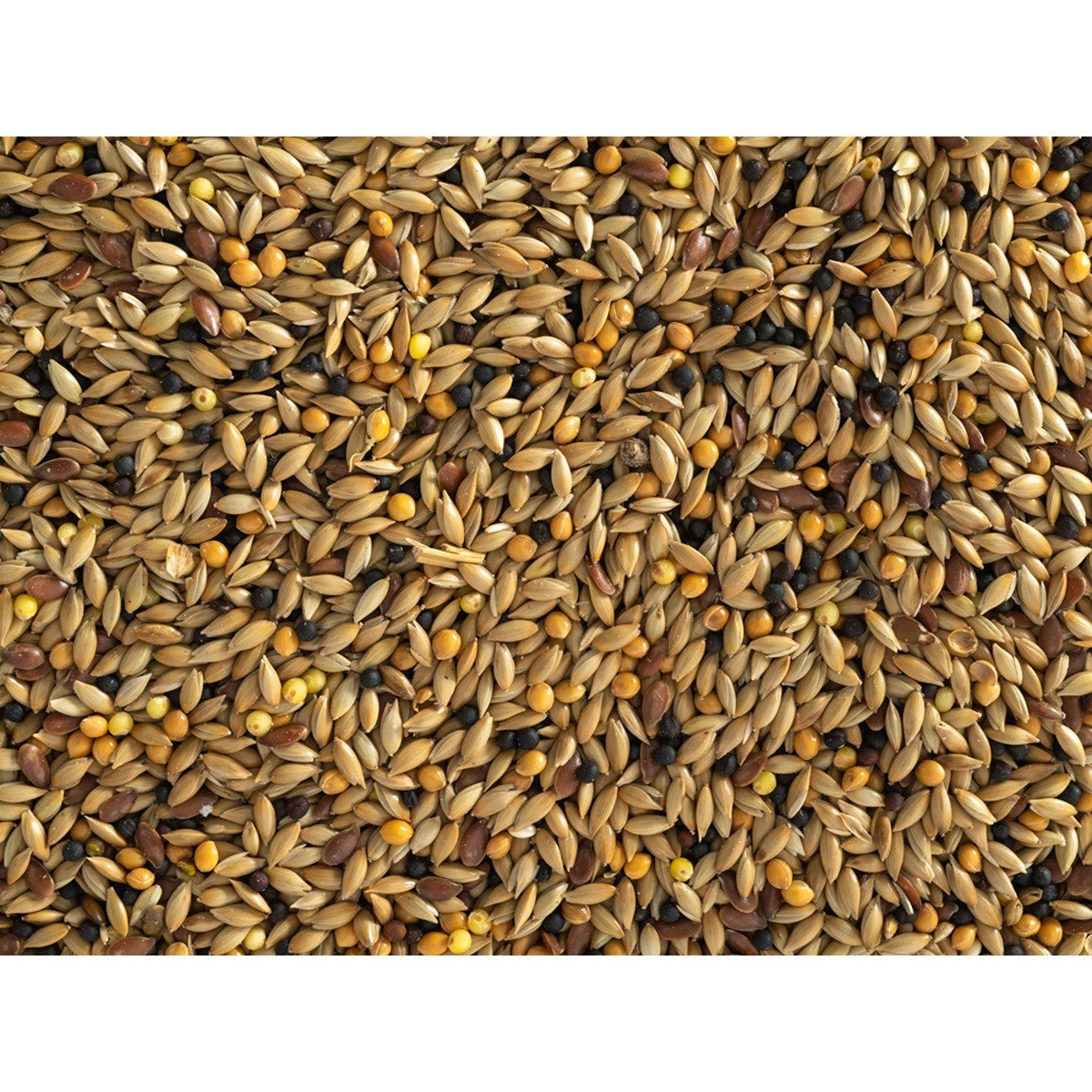 Topflite Canary Mix
